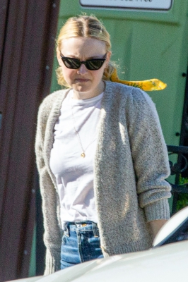 dakotafanningdaily-outsideherhome-20.jpg