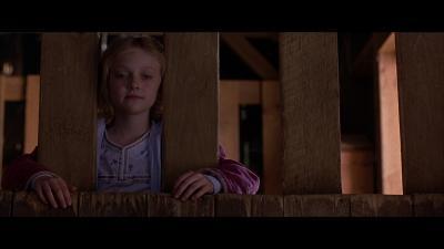 019_28629.jpg