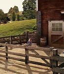 018_28929.jpg