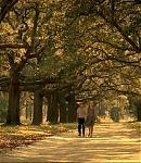050_28429.jpg