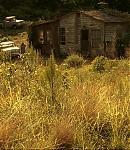 080_28429.jpg