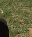 screencaps200017.jpg