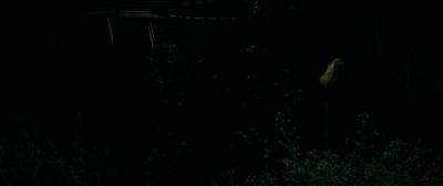 008_28329.jpg