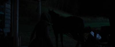 001_28729.jpg