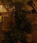 dakotafanningdaily-sweetnessinthebelly-01963.jpg
