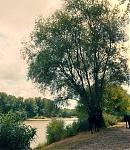 017_28629.jpg