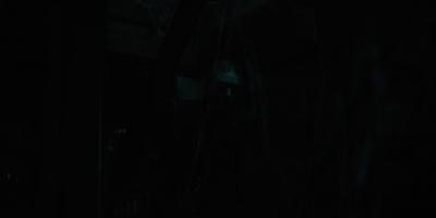 dakotafanningdaily-bellyofthebeast-0573.jpg